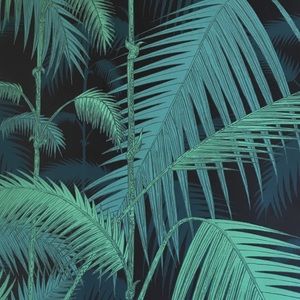 Meet your Posher, Tom